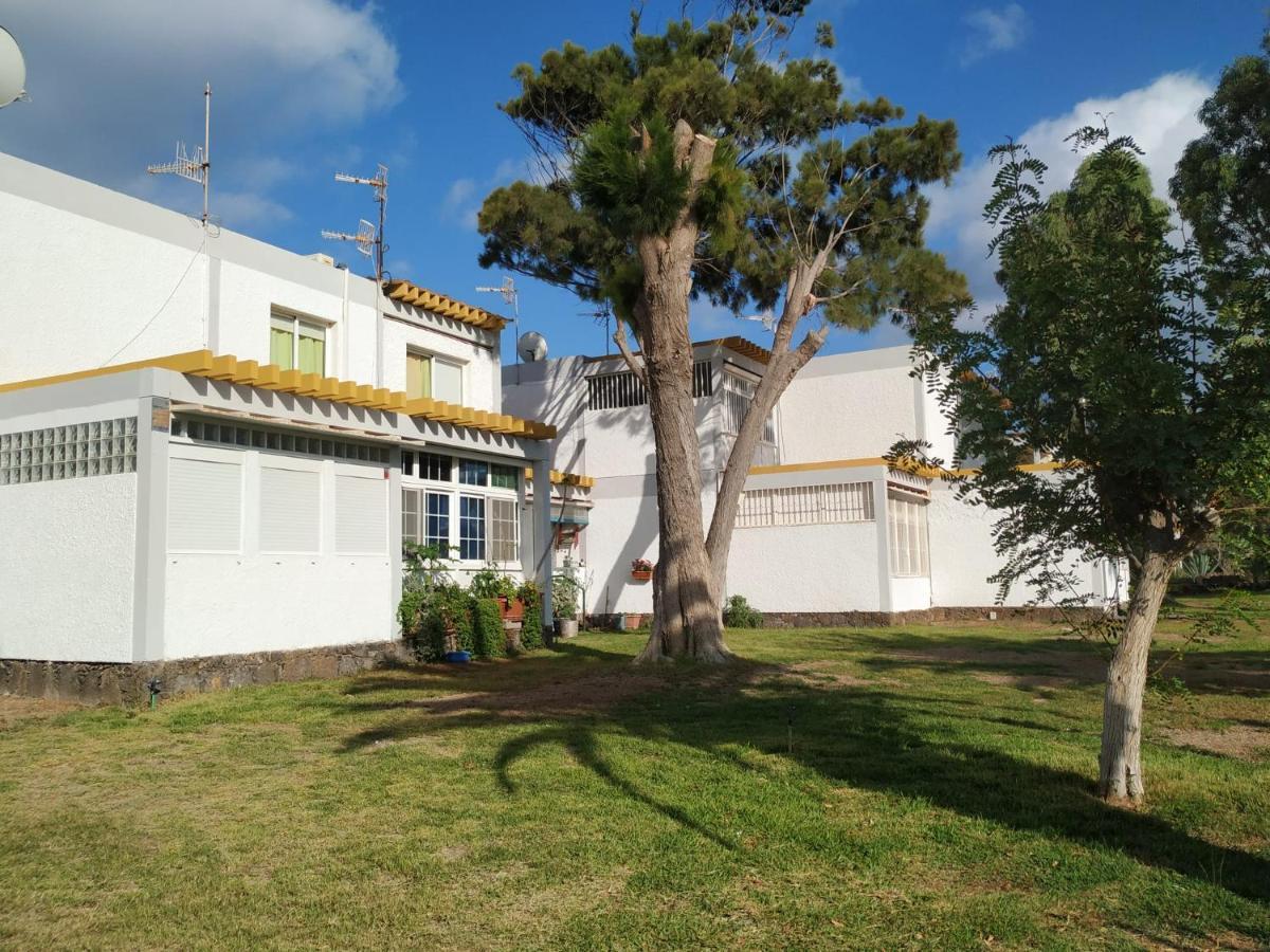 Appartement Helios Drago